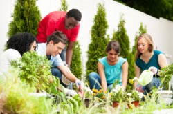 group volunteering; photo from istock